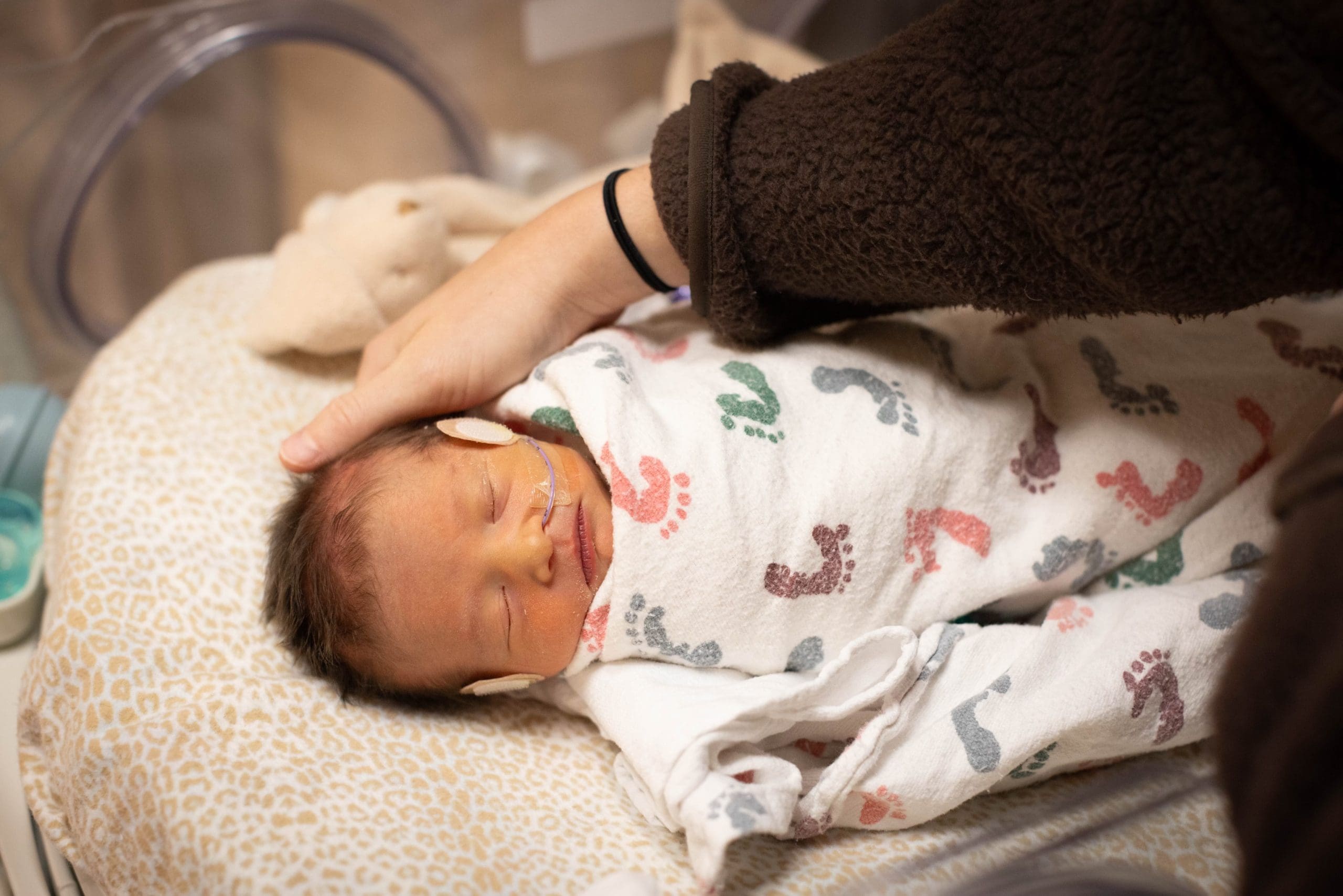 char_9 1 - Rocky Mountain